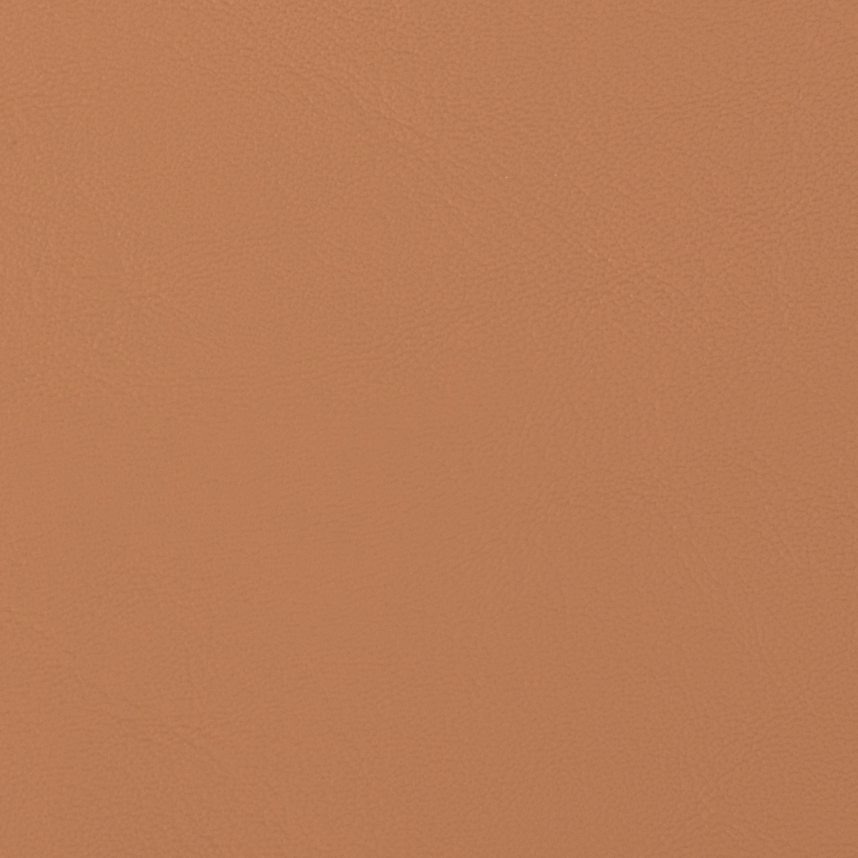 Allante Butterscotch