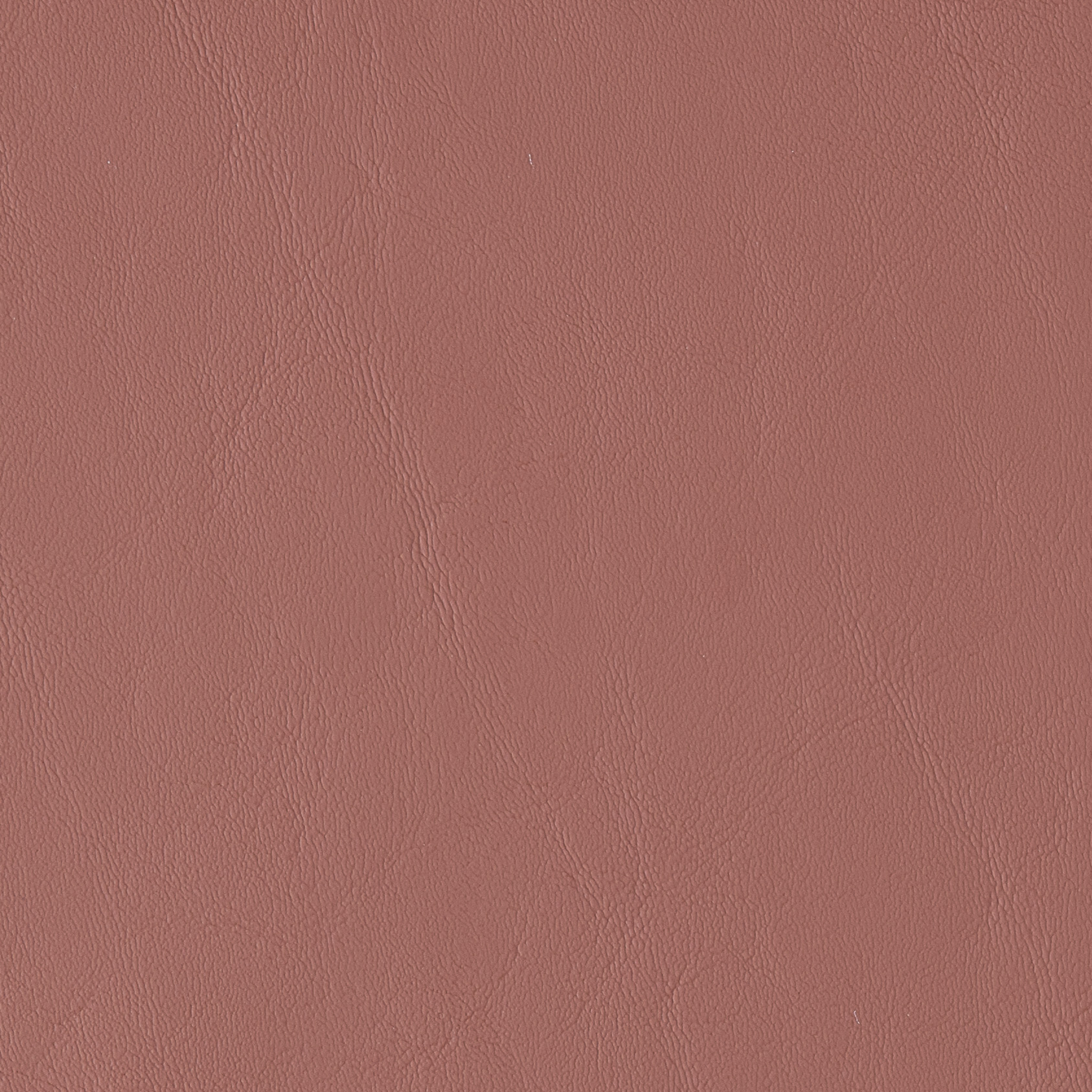 Allante Cinnamon