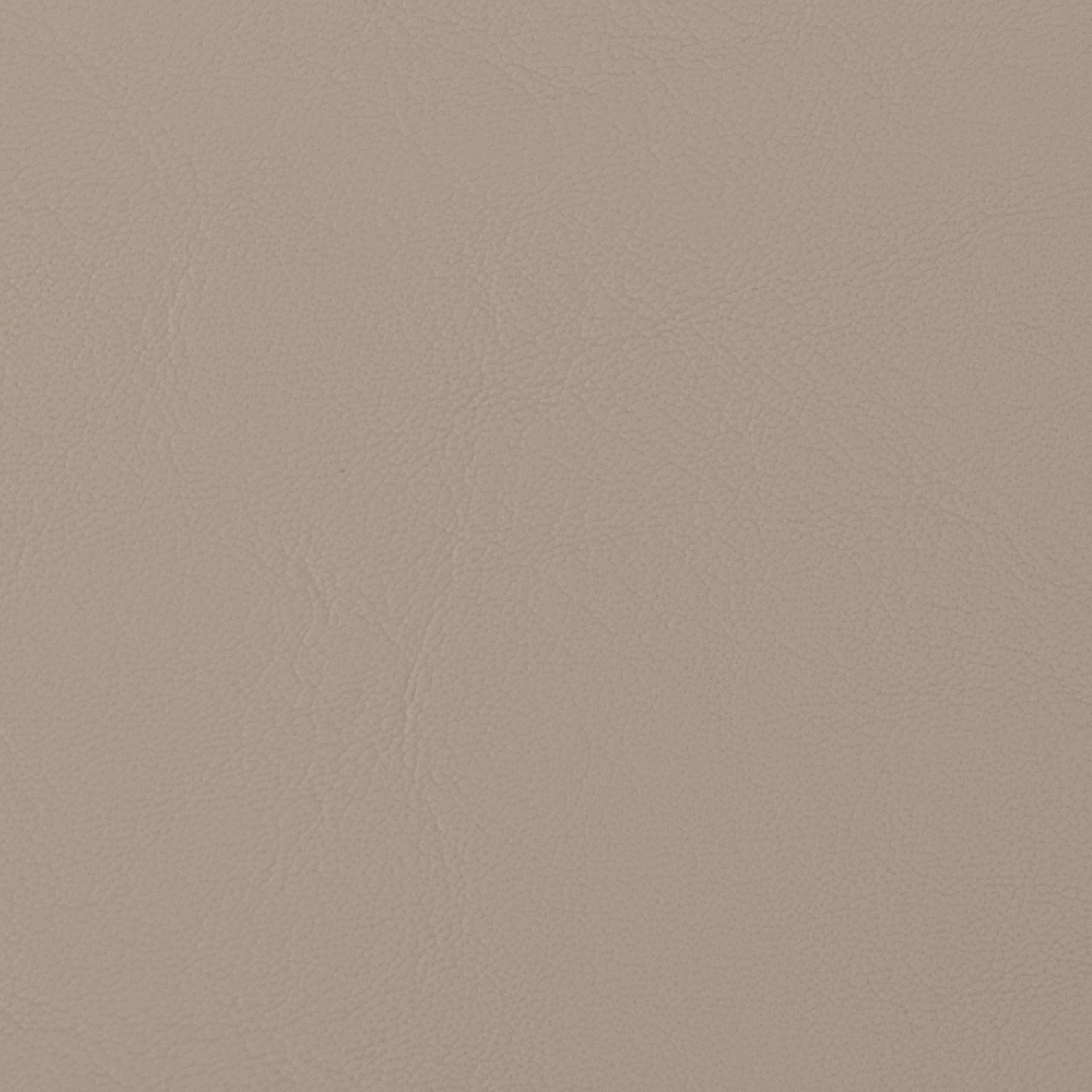 Allante Light Neutral