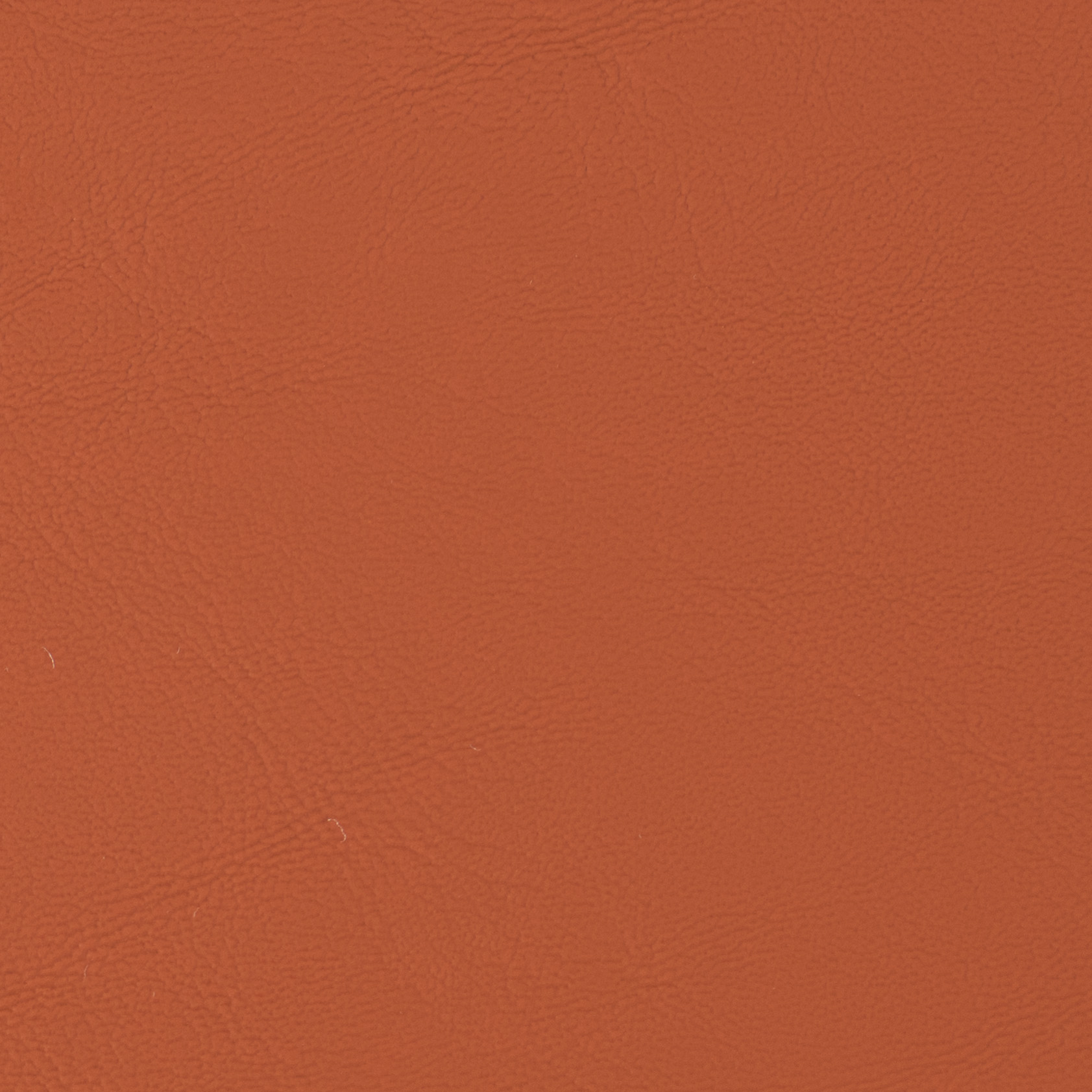 Allante Mango